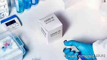 Covid 19 coronavirus: Urgent need for a reset on number of lab tests - medical institute - New Zealand Herald