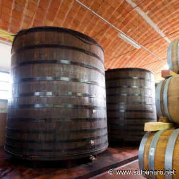 L'aceto balsamico di Modena tocca il record dei 100 milioni di litri certificati - SulPanaro