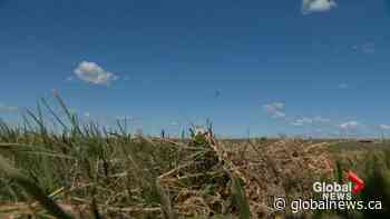 Alberta’s agriculture industry faced many challenges in 2021