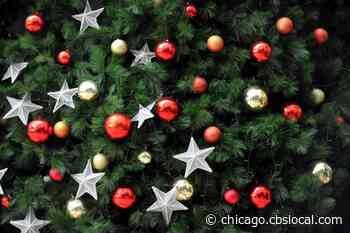 Christmas Tree Recycling To Start In Aurora And Chicago Beginning Next Week - CBS Chicago