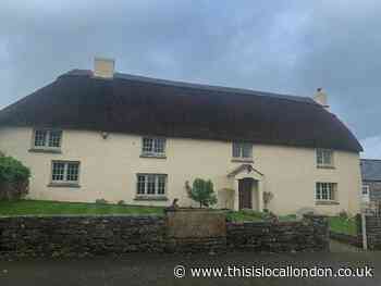 Higher Sutton Town Farm- Daisy Montgomery Heathside School - This is Local London