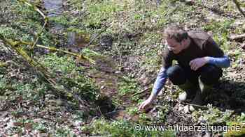 Rhön: Seltene Tierarten gefährdet - Quellenexperte nennt Gründe - Fuldaer Zeitung