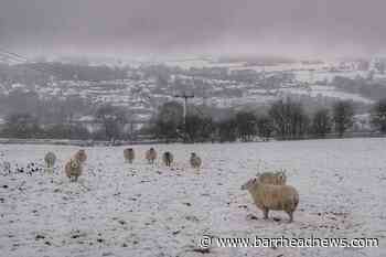 Snow arrives on Boxing Day after Met Office issued weather warning - Barrhead News