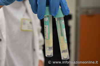 Coronavirus, il punto in provincia: Varese +240, Busto +286, Gallarate +151, Saronno +148 - InformazioneOnline.it
