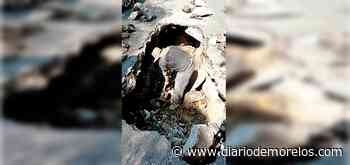 Reportan 40 fugas diarias al SAPAC en Cuernavaca - Diario de Morelos