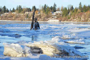 Fraser River freezes shore-to-shore between Langley and Maple Ridge – Chilliwack Progress - Chilliwack Progress