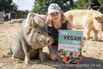 What is Veganuary? Everything you need to know