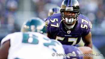 Bart Scott is very upset that Joe Burrow trounced his Ravens twice - Bengals Wire