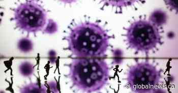 Omicron is less severe than Delta Ontario study suggests as COVID cases rise across Canada - Global News