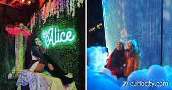 23 of the best things to do in and around Calgary this January - Curiocity