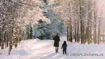 New Year's offers a 'toasty' start in Calgary, but falls quickly - CTV News Calgary