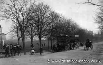 The road where Chingford, east London, meets Epping Forest