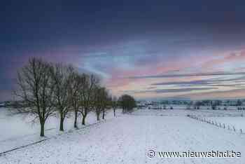 Het Nieuwsblad wenst u een gelukkig nieuwjaar