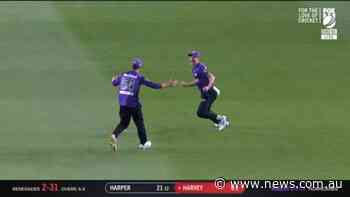 Wicket: Melbourne Renegades, Mackenzie Harvey – 29 Dec 21 | news.com.au — Australia's leading news site - NEWS.com.au