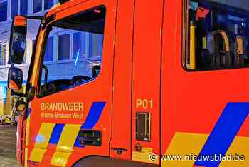 Relatief rustige overgang in noordrand: haag in de fik door bommetje en GAS-boetes voor vuurwerk