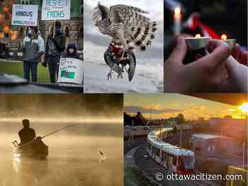 Ottawa's best photos of 2021: Photographers' picks