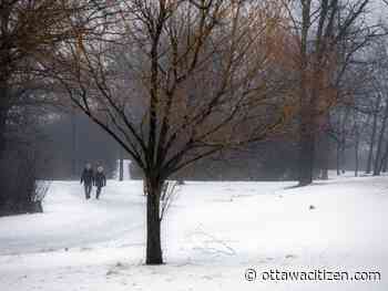 Weather: A messy mix of fog, drizzle and snow to start the year