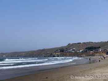 Dillon Beach Resort’s Cottages Offer The Perfect Bay Area Weekend Escape - Forbes