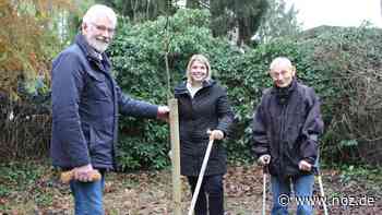 Für zehn Jahre: Naturschützer pachten Naschkes Garten in Papenburg - NOZ