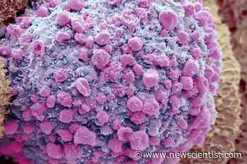 2022 news preview: What will the coronavirus do next? - New Scientist