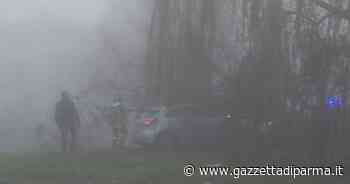 Botteghino, l'auto sbanda e finisce tra gli alberi in un prato - Gazzetta di Parma