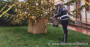 Prato, palline con faccia di Hitler sull’albero di Natale del Comune - Il Fatto Quotidiano