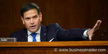 Rubio blasts 'irrational hysteria' over Omicron coronavirus variant - Business Insider