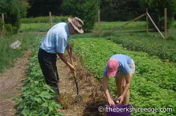 GARDENER'S CHECKLIST: December 30, 2021 - theberkshireedge.com