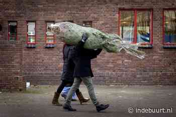 Kerstboom inleveren of op laten halen in Utrecht: dit moet je weten (2021/2022) - indebuurt Utrecht - indebuurt