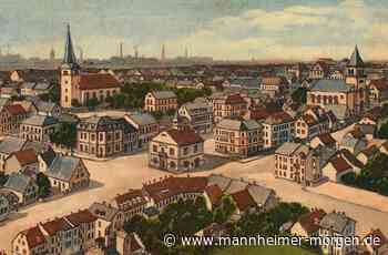 Mannheim-Käfertal: Die begehrte Braut - Erleben: Tipps für Ausflüge, Familien, Haustiere, Haus und Garten - Mannheimer Morgen