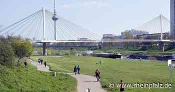 Person aus Neckar gezogen - Mannheim - DIE RHEINPFALZ - Rheinpfalz.de