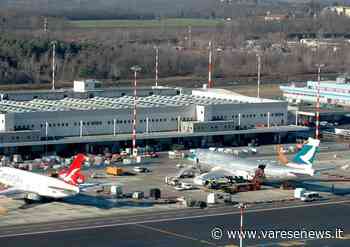 M5S Samarate incalza i sindaci. E chiede nuovi boschi intorno a Malpensa - varesenews.it