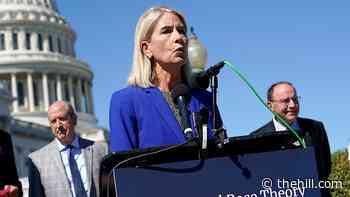 GOP Rep. Mary Miller announces reelection bid with Trump endorsement