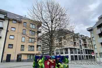 Kerstwensen kunnen hier (letterlijk) de boom in: “Lichtpuntje tegen eenzaamheid” - Het Nieuwsblad