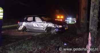 Auto rijdt tegen boom in Doetinchem: gewonde en flinke schade - De Gelderlander