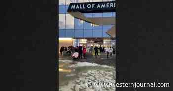 Shooting Takes Place at Mall Of America, Building Goes into Full Lockdown: Photos