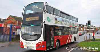 Department confirms no change in capacity on public transport amid local concerns - EchoLive.ie