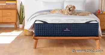 Sweet dreams are on sale at DreamCloud's sitewide New Year's event     - CNET