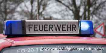 Jahreswechsel in Waltrop: Silvesterrakete setzt Hecke in Brand - Recklinghäuser Zeitung