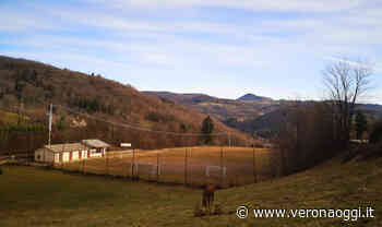 Bosco Chiesanuova, arriva un campo di calcio in erba sintetica a Corbiolo - veronaoggi.it