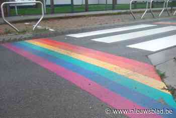 Ook hier geen regenboogzebrapad: “Te duur” - Het Nieuwsblad