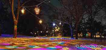 21 of the best things to do in and around Edmonton this January - Curiocity