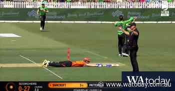 Maxwell bids farewell to Bancroft - WAtoday