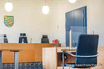 Riesa: Zahl der Bußgeldverfahren in Riesa leicht gestiegen - Sächsische.de