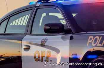 19-Year-Old Arrested Following Foot Chase In South Bruce Peninsula - Bayshore Broadcasting News Centre