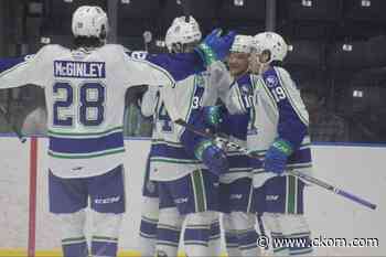 WHL puts Swift Current on pause due to COVID - CKOM News Talk Sports