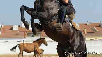 In Spanien verehrt, Zuhause verklagt: Junge Deutsche mischt den Stierkampf auf