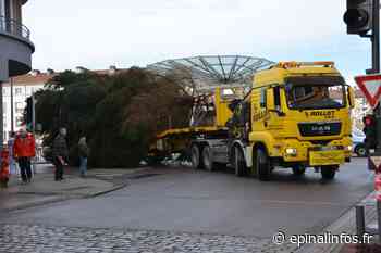 Sapin de Noël : circulation difficile demain à Epinal - Epinal infos - Epinal Infos