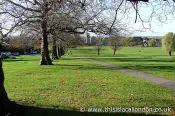 Streatham Common: Appeal after woman raped on morning run