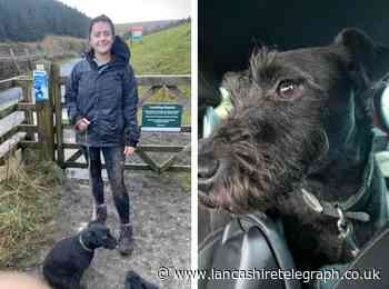 Priest's praise for fire crews after rescuing dog from drain
